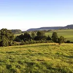 Oak